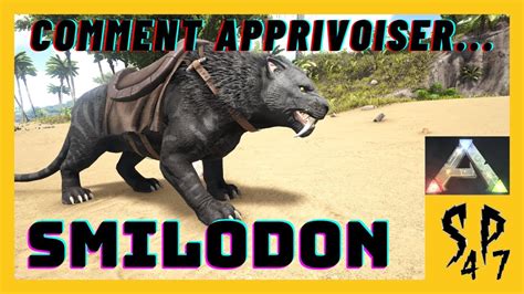 Comment Apprivoiser Un Smilodon Ark Survival Evolved Tuto Youtube