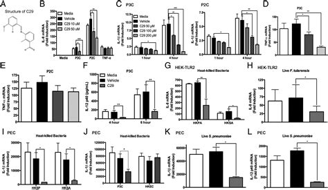 Inhibition Of TLR2 Signaling By Small Molecule Inhibitors Targeting A