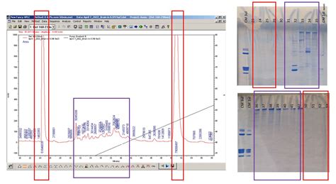 What Do The Ghost Peaks In This Rp Hplc Correspond To Researchgate