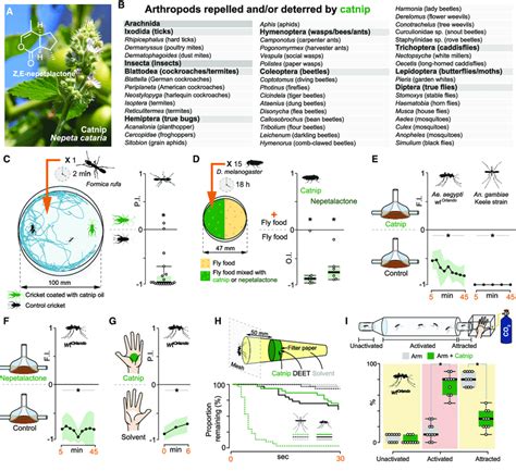 Catnip Is Aversive To A Wide Range Of Arthropods A Catnip Nepeta