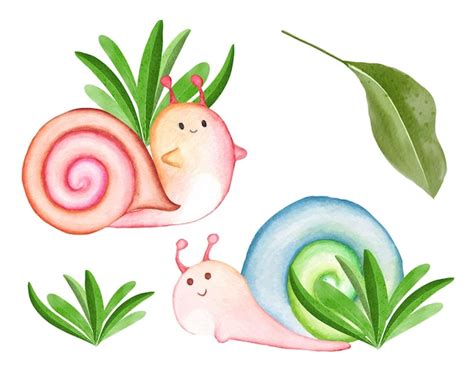 Conjunto De Im Genes Predise Adas De Caracol De Acuarela Ilustraci N