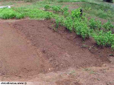 Comment Pr Parer La Terre Du Potager Tuto Jardinage