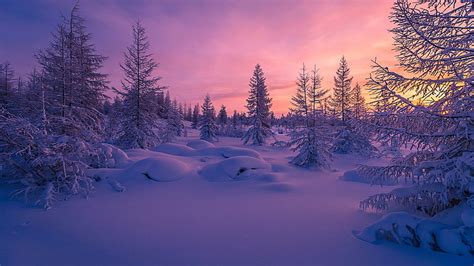 HD wallpaper: winter, snow, blue, sky, nature, freezing, sunset ...