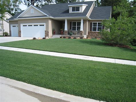 Blue Grass Enterprises Elite Sod Lawn Fertilizer Grass Seed Iowa