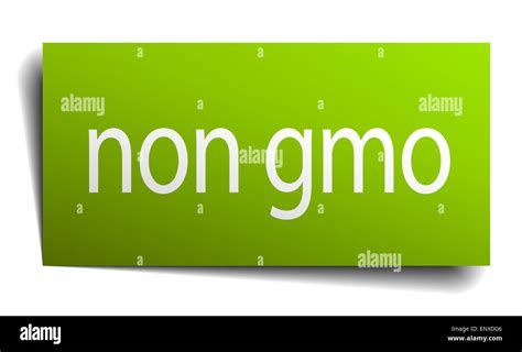 Non Gmo Square Paper Sign Isolated On White Stock Photo Alamy