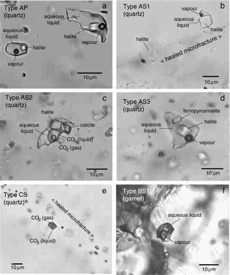 Photomicrographs Showing Examples Of Fluid Inclusions In The Aitik