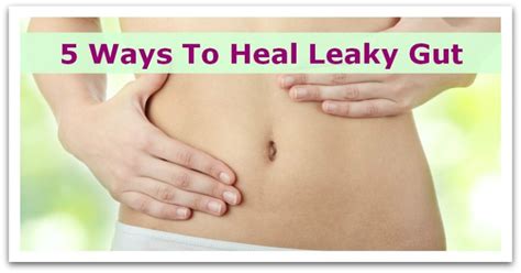 Ways To Heal Leaky Gut Natural Holistic Life