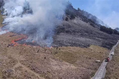 Porses Pemadaman Kebakaran Bukit Teletubbies Bromo Akibat Flare Sudah