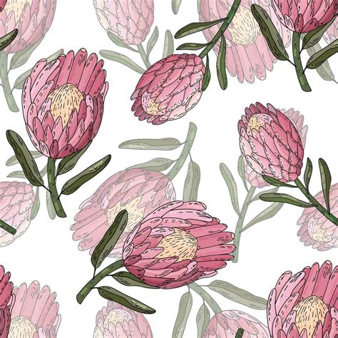 Hand drawn vector seamless pattern of king protea. 30768869 Vector Art ...