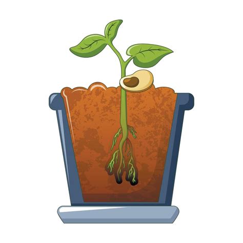 Bean Plant Growing Icon Cartoon Style 15090381 Vector Art At Vecteezy