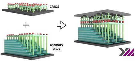 Ymtc Ya Dispone De Nand Flash Qlc D De Capas Para Ssd