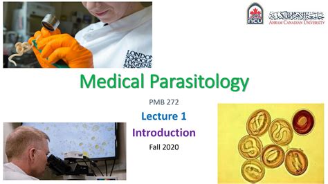 Solution Parasitology F Lect Studypool