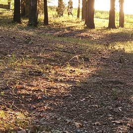 Craighead Forest Park Camping | Jonesboro, AR