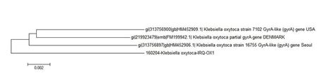 C Neighbor Joining Tree Analysis Of 441 Bp Of The Gyra Gene Of One K Download Scientific