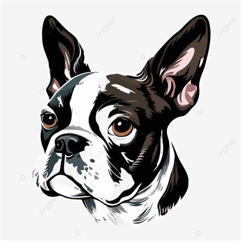 Boston Terrier Face Vector Sticker Clipart Cute Boston Terrier Dog