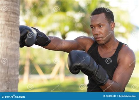 Man Punching A Tree Royalty Free Stock Photography Image 18060047