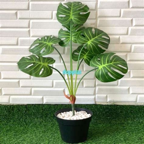 Promo Pohon Daun Monstera X7 Latex Pot Dasar Hitam Tanaman Artificial