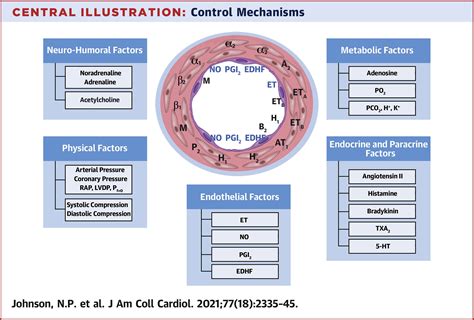 Autoregulation Of Coronary Blood Supply In Response To Demand JACC