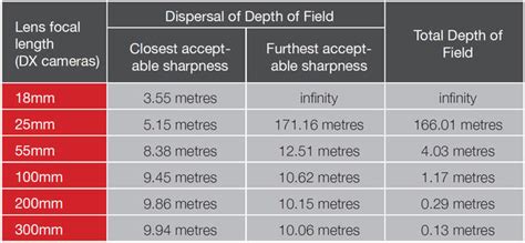 Focusing And Depth Of Field Photo Review