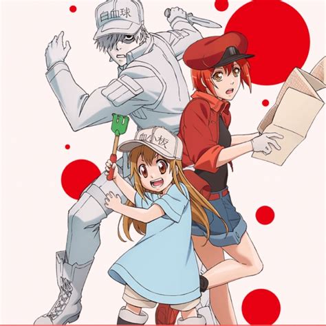 Hataraku Saibou Revelo Un Nuevo Tráiler Para Su Segunda Temporada