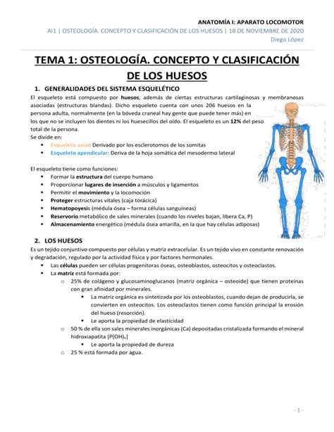 ANATOMÍA I APARATO LOCOMOTOR