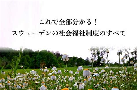 日本との違いは？スウェーデンの教育制度。初等から高等教育まで紹介 せかいじゅうライフ 海外移住をもっと身近に世界で暮らす情報メディア