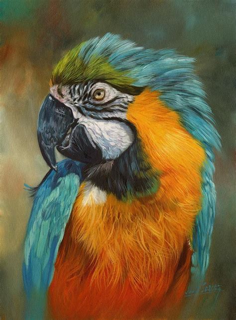 Macaw Parrot Painting by David Stribbling