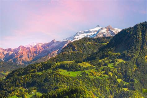 Colorful Mountains Sunset Swiss Alps Switzerland Stock Image Image