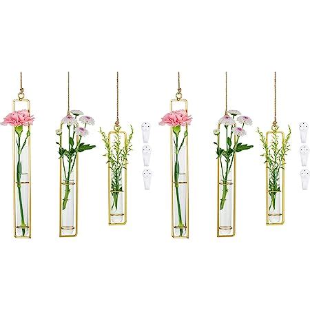 Glasseam Vase Transparent Petit Vase En Verre Lot De 6 Soliflore Tube