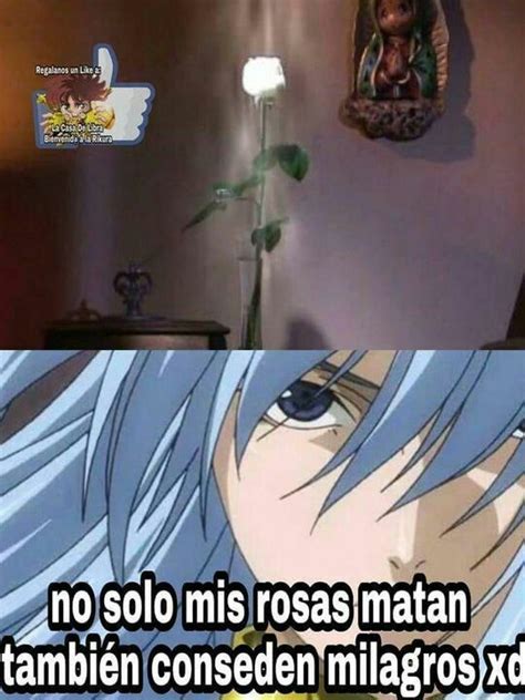 MEMES SAINT SEIYA Memes De Saint Seiya Parte 16 Wattpad Saint Seiya