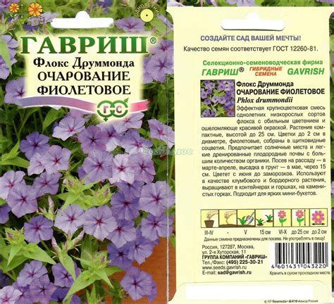 Флокс друммонда в ландшафтном дизайне: 81 фото