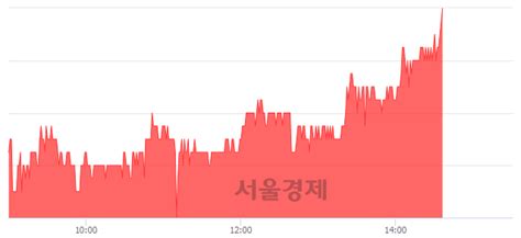 보락 329 오르며 체결강도 강세 지속169 서울경제