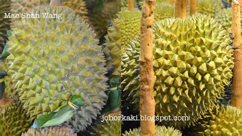 Tips On How To Spot A Real Mao Shan Wang Msw Musang King Durian