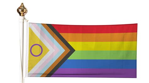 Lgbtq Pride Flags And Their Meanings Flagmakers