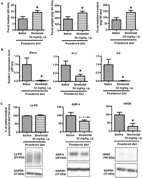 Effect Of Sivelestat Mg Kg I P A Neutrophil Elastase Inhibitor