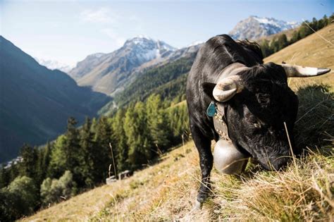 Grimentz Valais Suisse