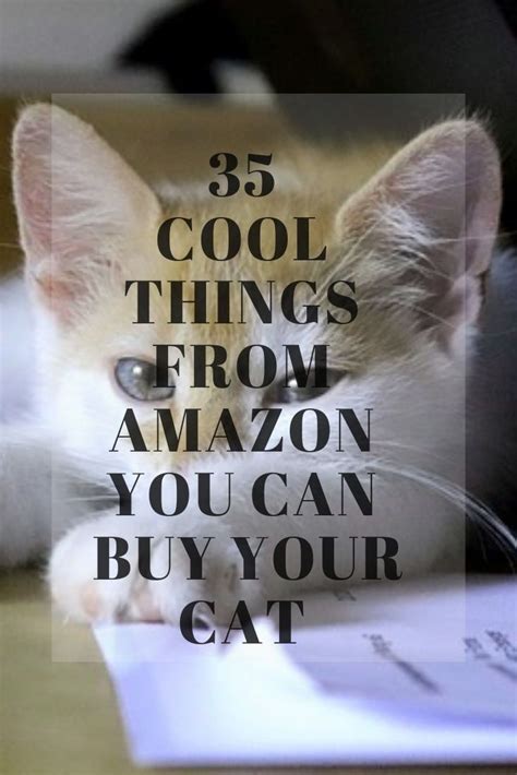 35 Cool Things To Buy On Amazon Under 25 Dollars For Cats Cat