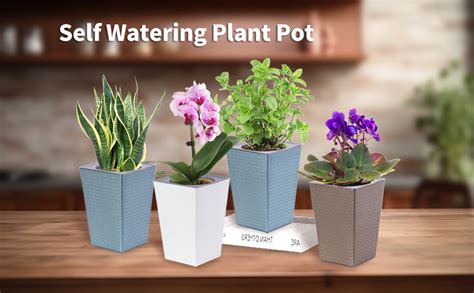 Amazon Oliz Pieces Inch Self Watering Planter Plastic Flower