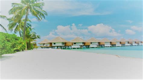 What Is The Best Time Of Year To Go To The Maldives Terhalak