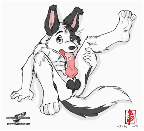 Rule 34 Autofellatio Border Collie Canine Cum Fellatio Furry Jesse