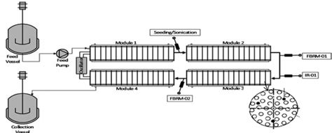 Schematic Of Continuous Oscillatory Ba Ffl E Reactor Module Details Download Scientific