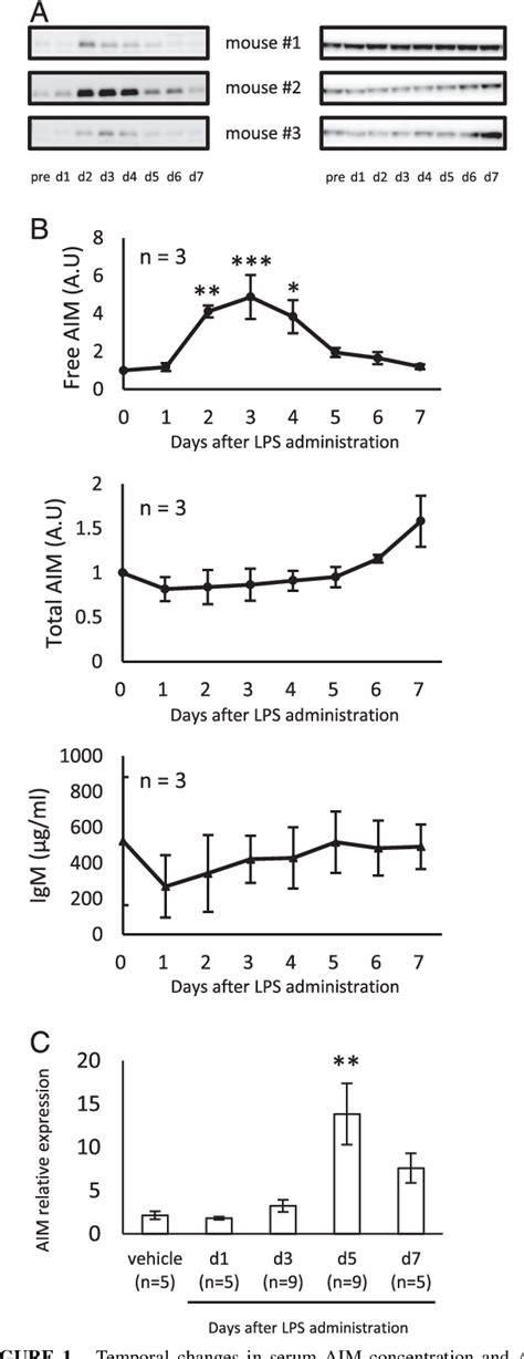 Figure From Orchestrating Role Of Apoptosis Inhibitor Of Macrophage