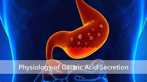 Basics of Gastric Acid Secretion