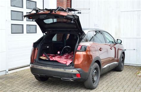 Bike Carrier For Peugeot 3008 Ii Paulchen Heckträger Ohne Ahk