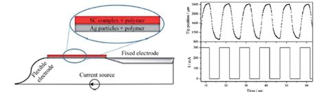 30 Schematic Representation Of A Bilayer Sco Polymer Composite