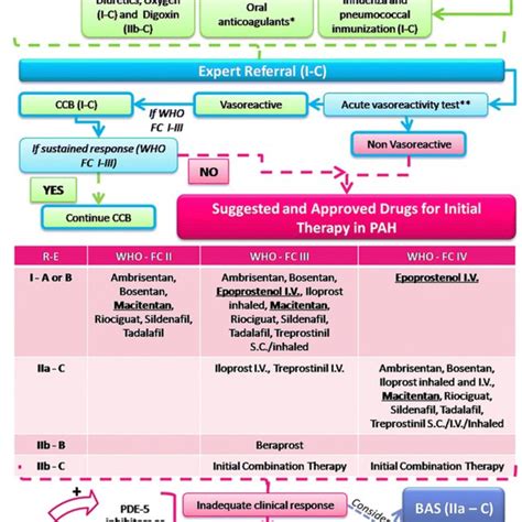 Treatment Algorithm For Pah Patients Need To Be Referred To An Expert Download Scientific