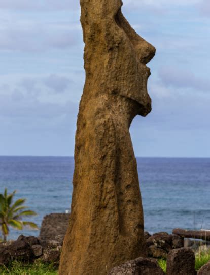 Arque Logos Resuelven El Origen De Los Mo Is Las Estatuas Gigantes De