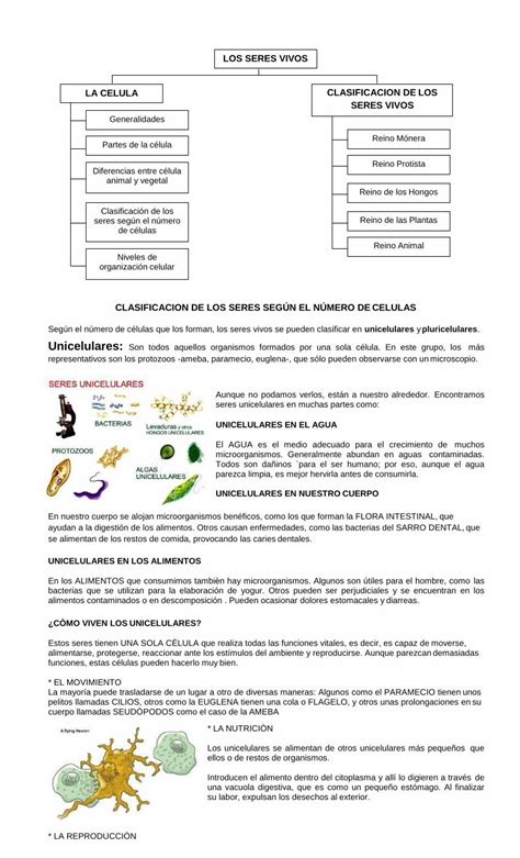 Pdf Los Seres Vivos La Clasificacion Decelula Los Seres Vivos Pdf