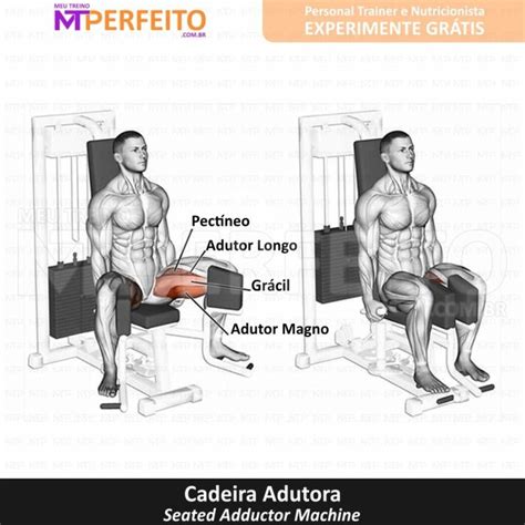 Cadeira Adutora Meu Treino Perfeito Gym Male Sketch Memes