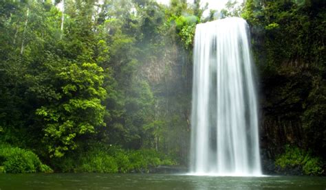 Corbett waterfall, ramnagar, India - Top Attractions, Things to Do ...